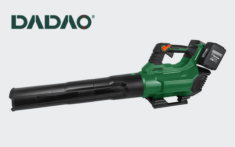 Dadao Toosl ले Cordless Leaf Blower को आवेदन परिदृश्य बताउँछ